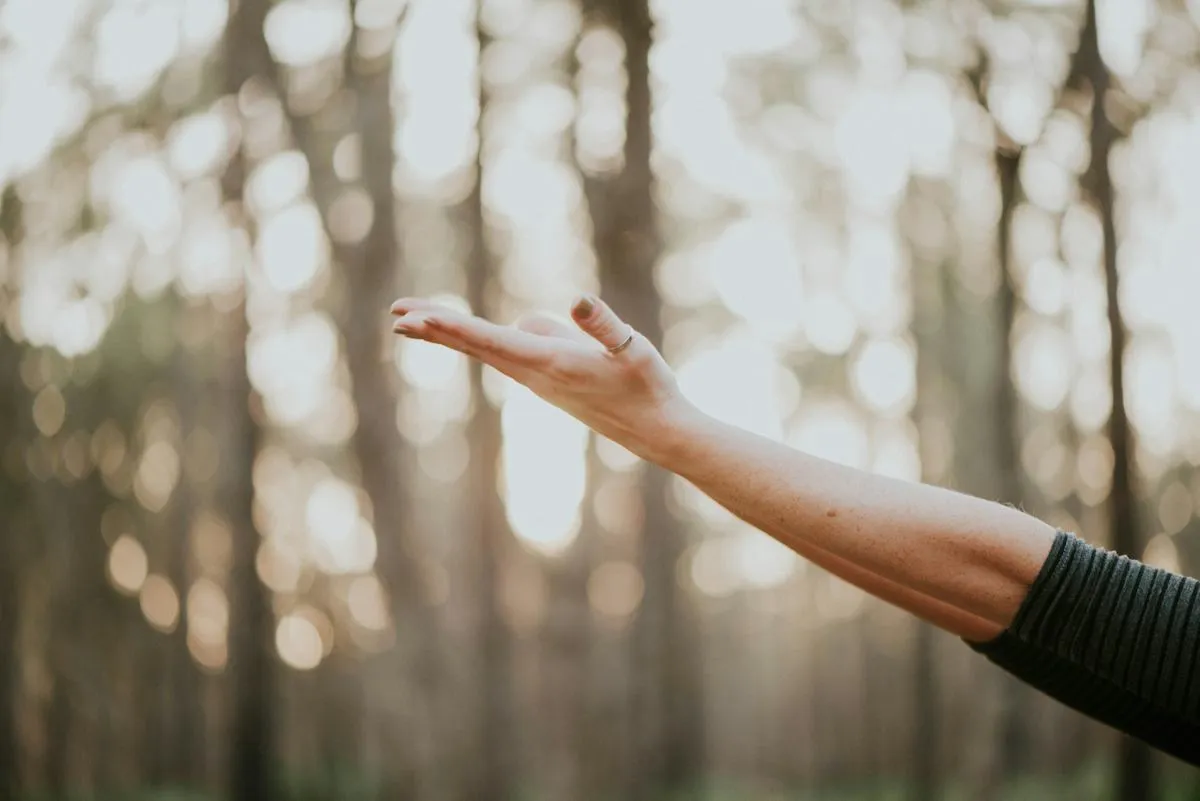 Mindfulness workshop with a quiet natural atmosphere